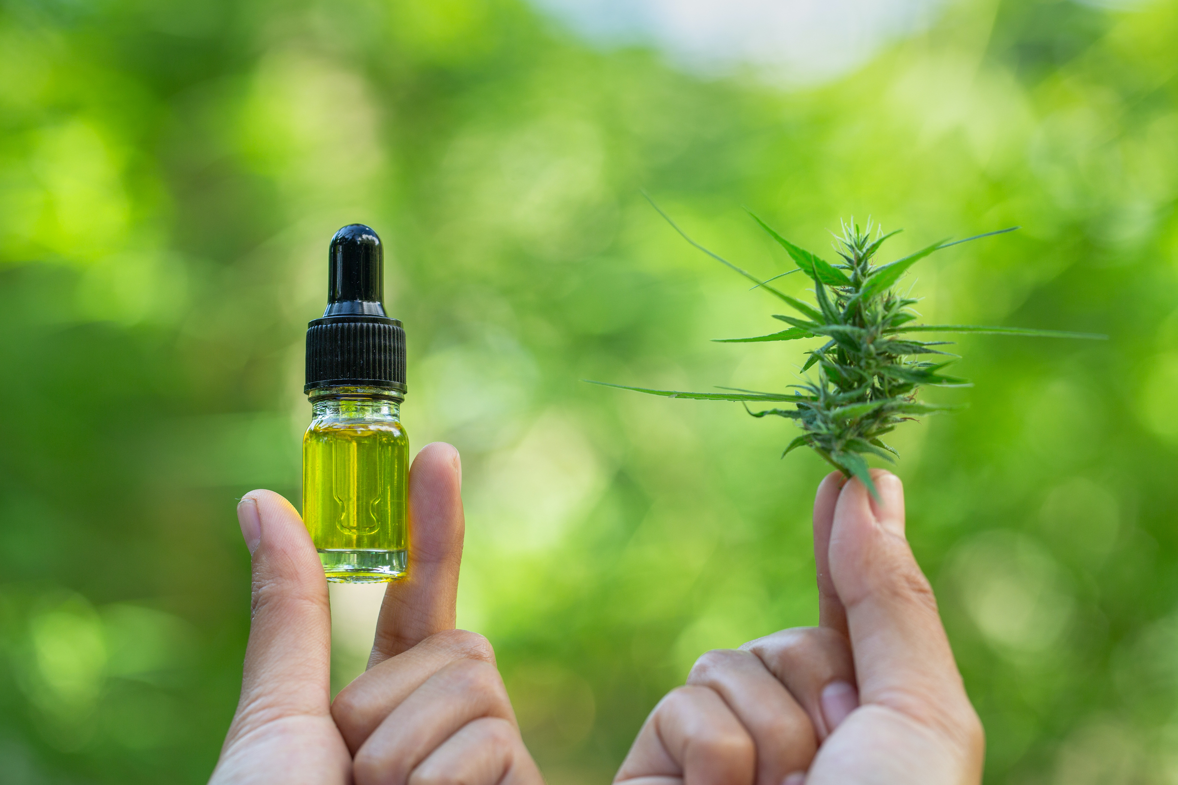 best cbd for anxiety